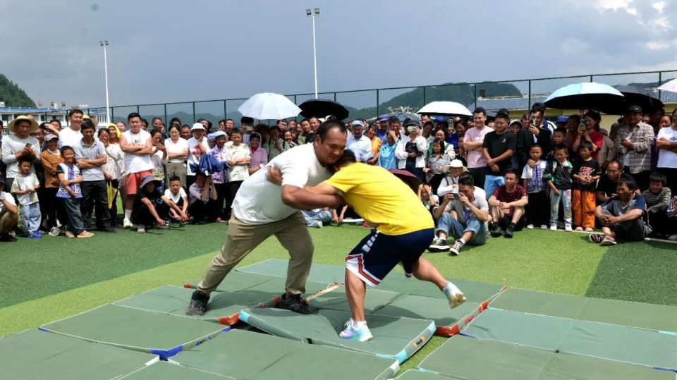 大家以赛为