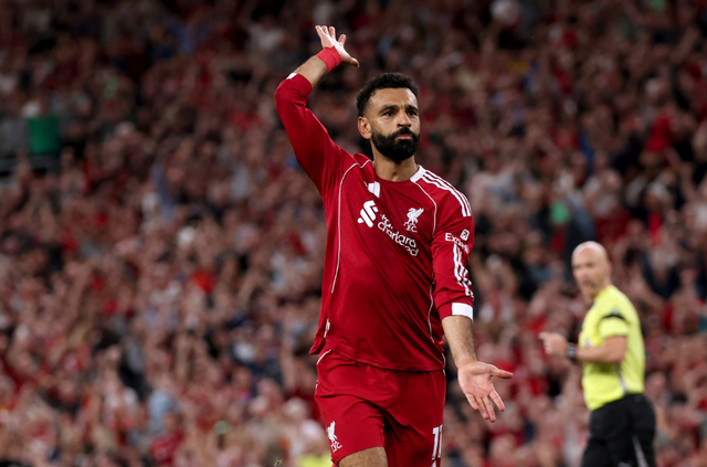 更是令人动 更是令人动