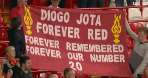 若塔, news 若塔, news